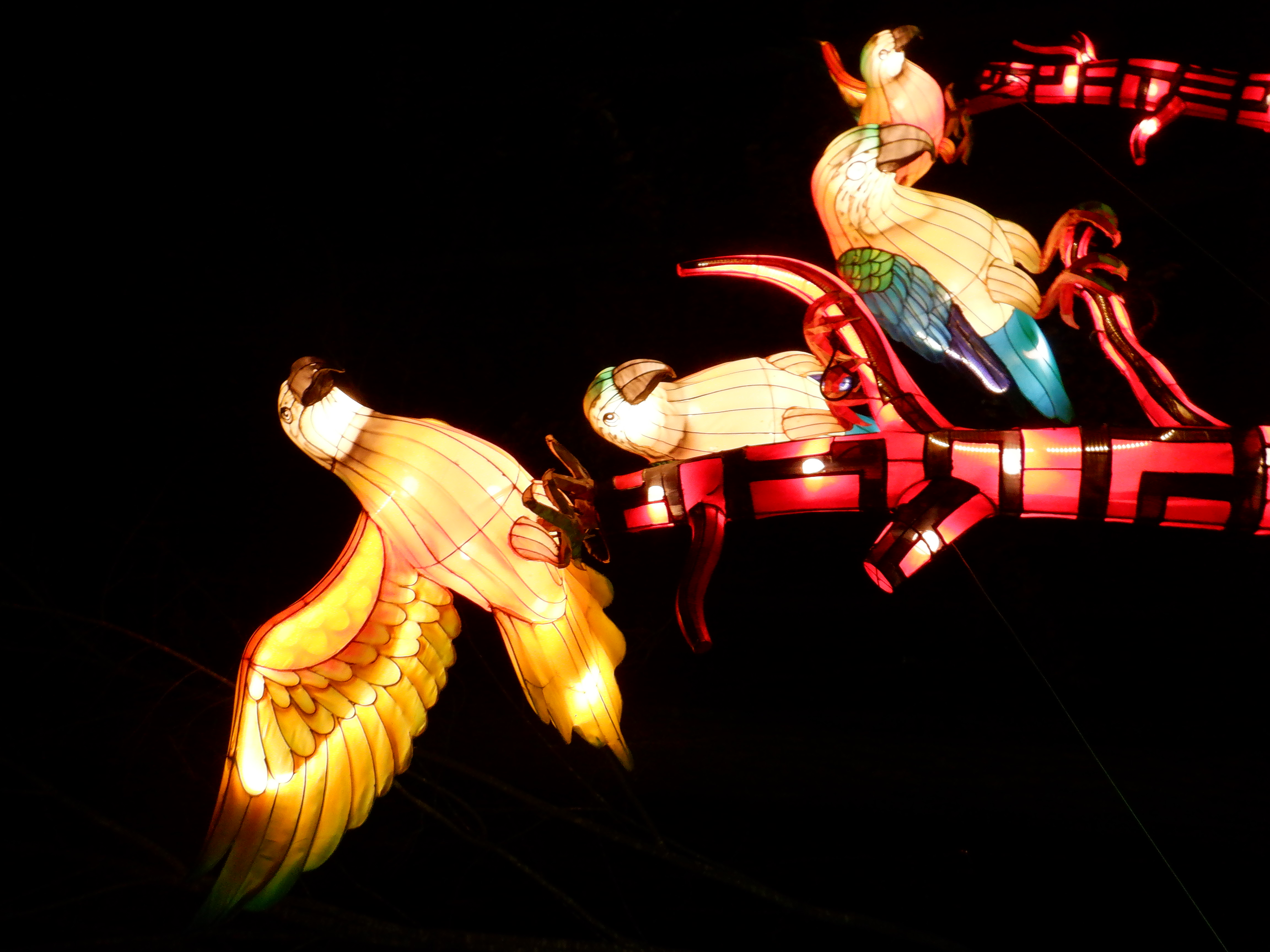 ./2019/16 - Chinese Lantern Festival/DSCF0704.JPG